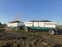large vegetable hauling tanks in field