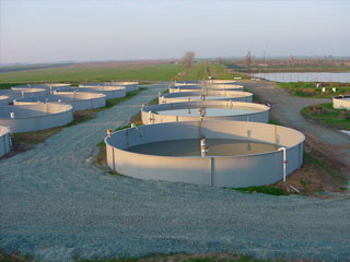 commercial aquaculture panel tanks