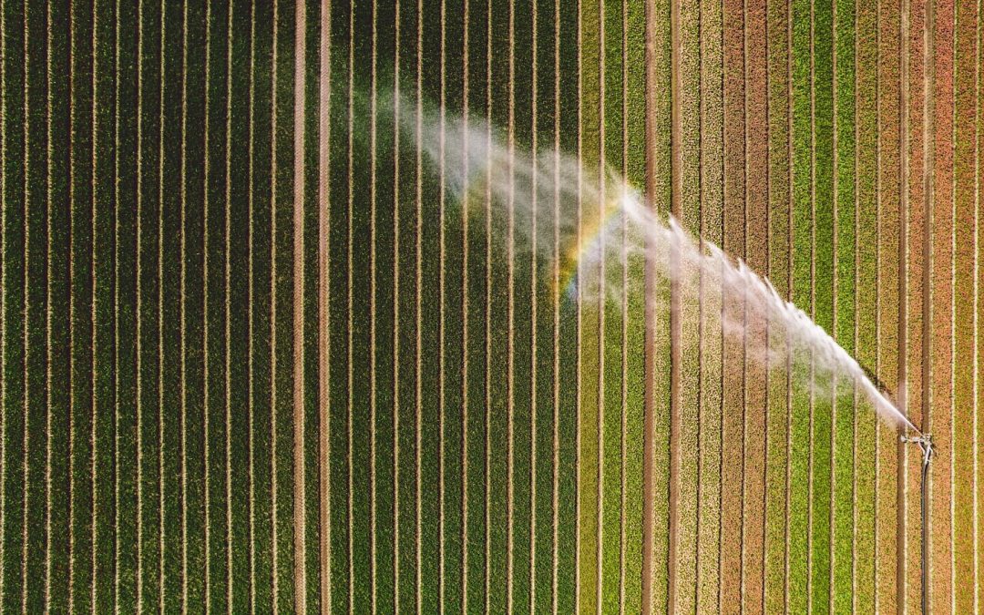 The Benefits of Fiberglass Tanks for Agricultural Water Storage Solutions